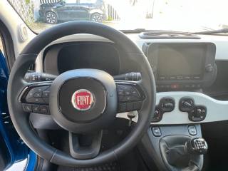 FIAT Pandina usata, con Controllo trazione