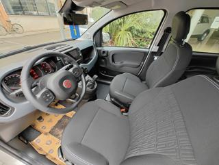 FIAT Panda Cross usata, con Alzacristalli elettrici