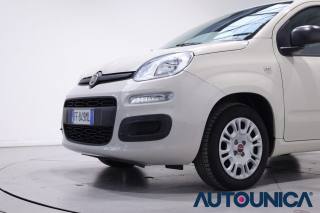 FIAT Panda usata, con Fendinebbia