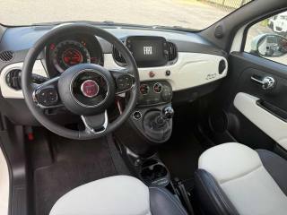 FIAT 500 usata 21