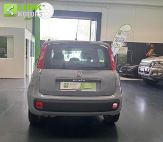 FIAT Panda usata, con Airbag Passeggero