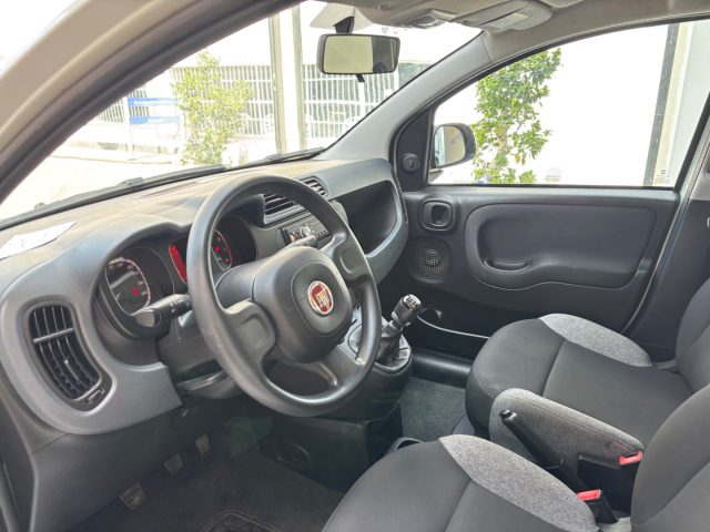 FIAT Panda usata, con Cronologia tagliandi