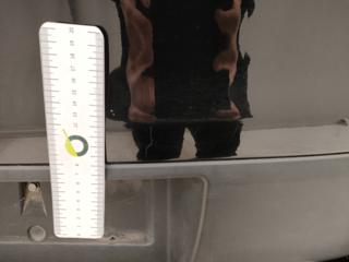 FIAT 500L usata, con Start/Stop Automatico
