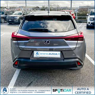 LEXUS UX 250h usata, con Autoradio