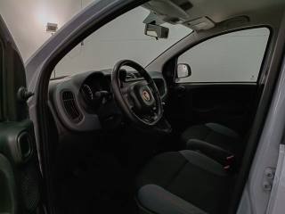 FIAT Panda usata 7