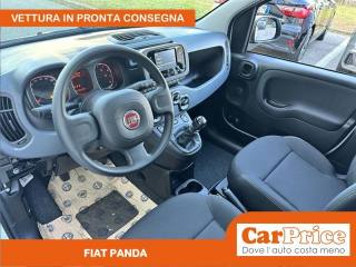 FIAT Panda usata, con Climatizzatore