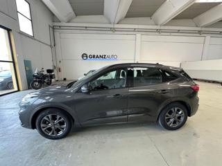 FORD Kuga usata, con Filtro antiparticolato