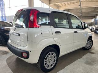 FIAT Panda usata, con Autoradio