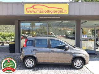 FIAT Panda usata, con Climatizzatore