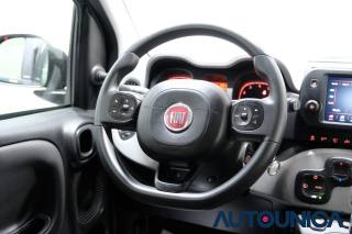 FIAT Panda usata 37