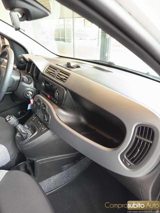 FIAT Panda usata 19