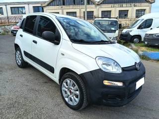 FIAT Panda usata 1