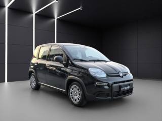 FIAT Panda usata, con Controllo trazione