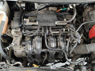FORD Fiesta usata 19