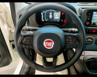 FIAT New Panda usata, con Sensori di parcheggio posteriori