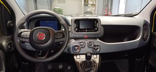 FIAT Panda usata, con Immobilizzatore elettronico