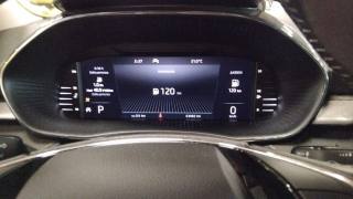 SKODA Fabia usata, con Frenata d