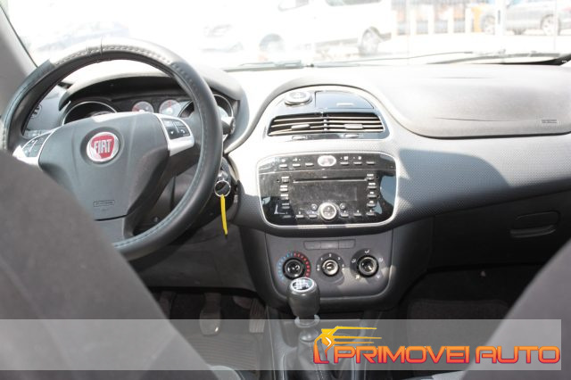 FIAT Punto usata 13