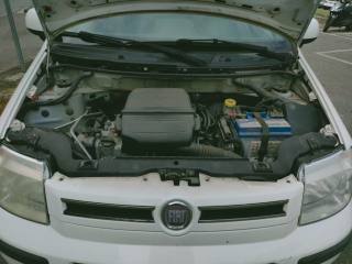 FIAT Panda usata 20