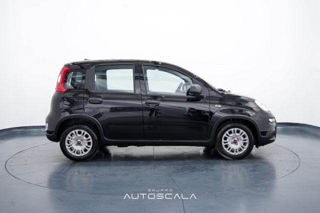 FIAT New Panda usata, con Climatizzatore