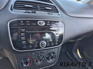FIAT Punto usata, con Tetto panorama