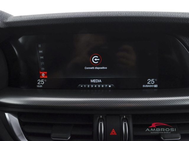 ALFA ROMEO Stelvio usata 14