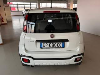 FIAT Panda Cross usata, con Immobilizzatore elettronico