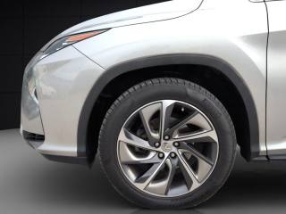 LEXUS RX 450h usata, con Cruise Control