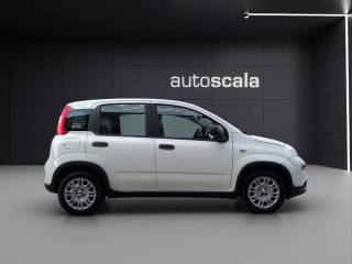 FIAT Panda usata, con Boardcomputer
