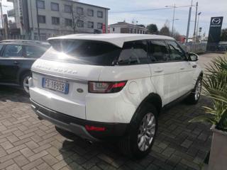 LAND ROVER Range Rover Evoque usata, con Fari bi-xeno