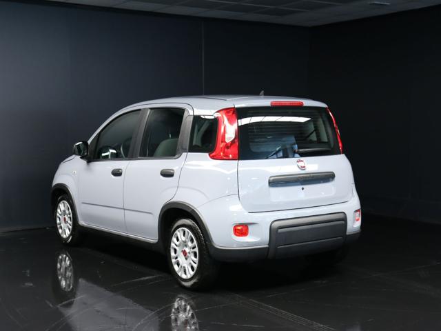 FIAT Panda usata, con Antifurto