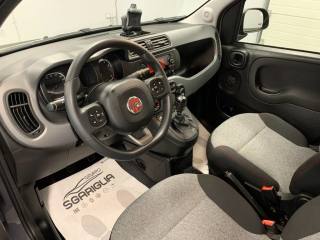 FIAT Panda usata, con Cronologia tagliandi