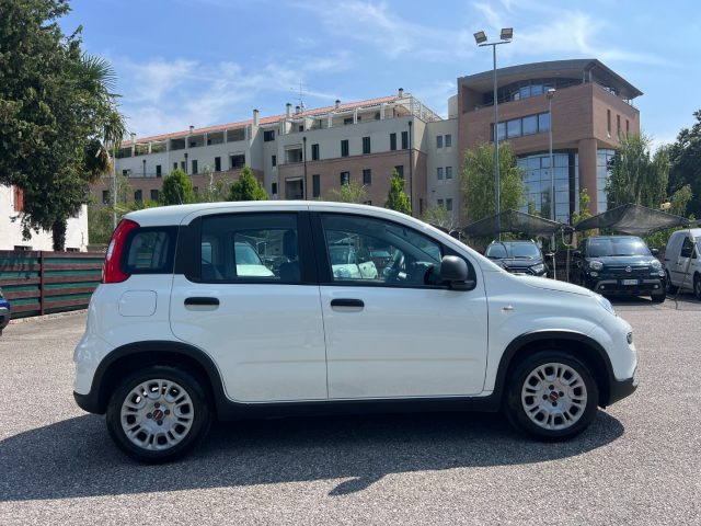 FIAT Panda usata, con Alzacristalli elettrici