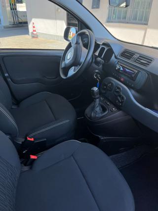 FIAT Panda usata, con Airbag Passeggero