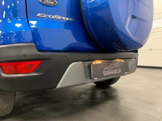 FORD EcoSport usata, con Controllo vocale