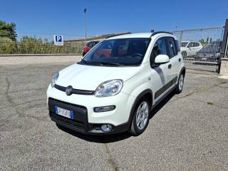 FIAT Panda usata 2