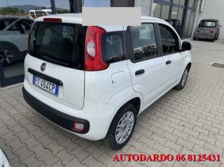 FIAT Panda usata, con Airbag testa