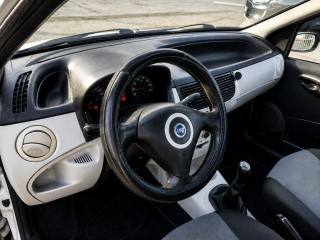 FIAT Punto usata, con Fendinebbia