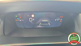 PEUGEOT 2008 usata, con Cronologia tagliandi