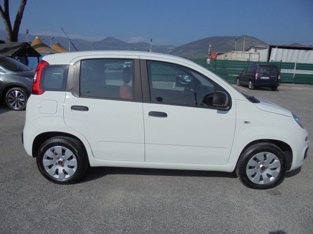 FIAT Panda usata 13
