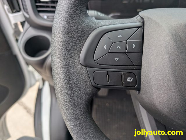 IVECO Daily usata 18