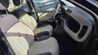 FIAT Panda usata, con Immobilizzatore elettronico
