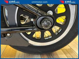 HARLEY-DAVIDSON Softail Standard usata 7