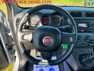 FIAT Panda usata, con Airbag testa