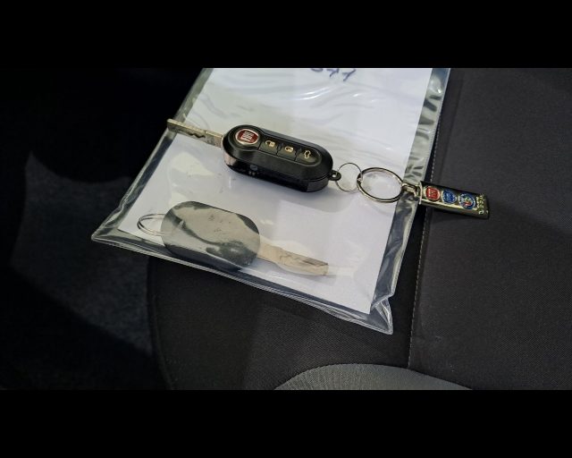 FIAT New Panda usata 21