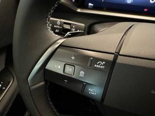 OPEL Grandland usata 28