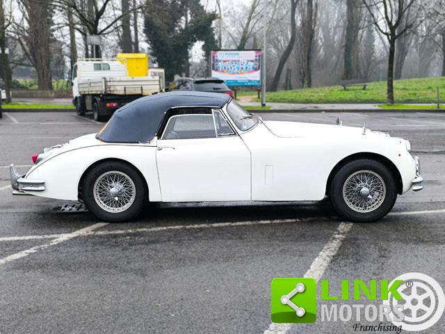 JAGUAR XK usata 14