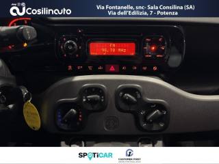 FIAT Panda usata, con Volante in pelle