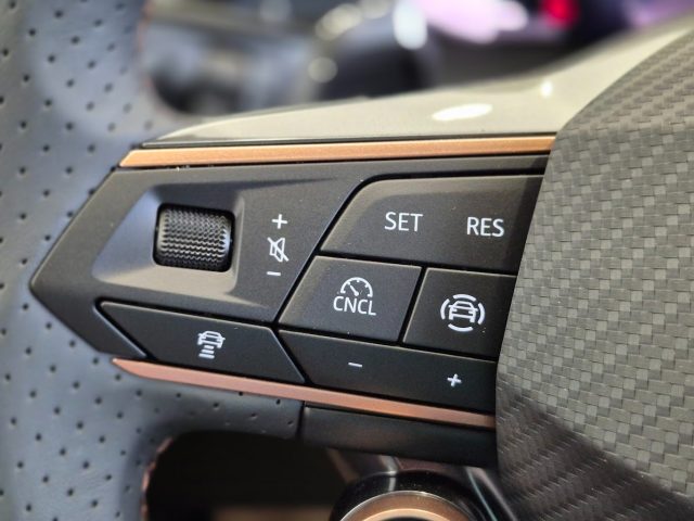 CUPRA Terramar usata, con Vetri oscurati