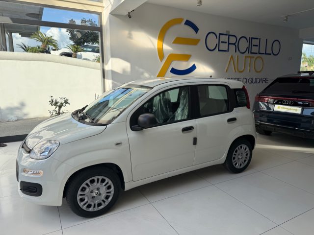 FIAT Panda usata, con Alzacristalli elettrici